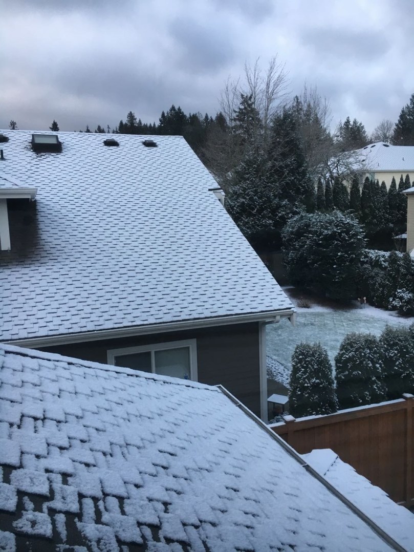 陆姐妹二月清晨灵修